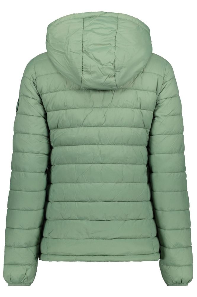 THELMA 62577 Olive